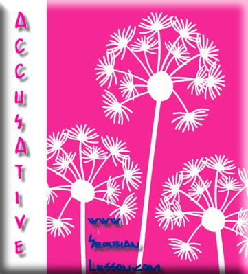 Serbian Language Tests - Accusative Plural